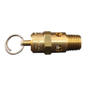 Milton Safety Valve, 125 PSI, 1/4 in MNPT