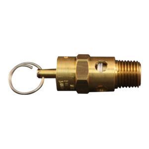 Milton Safety Valve, 150 PSI, 1/4 in M NPT